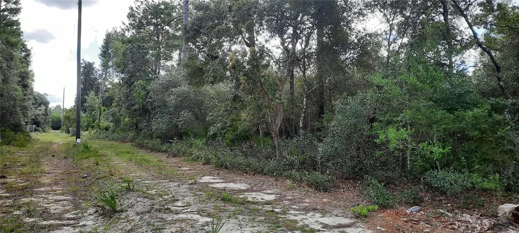 Pick Which Trees Stay for Privacy