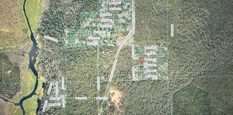 Wedged Between the Ocklawaha River & the Ocala National Forest