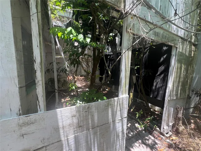 Overgrown area / old Green house off the back of the garage