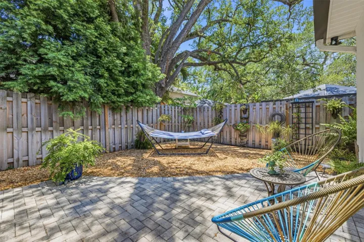 back yard