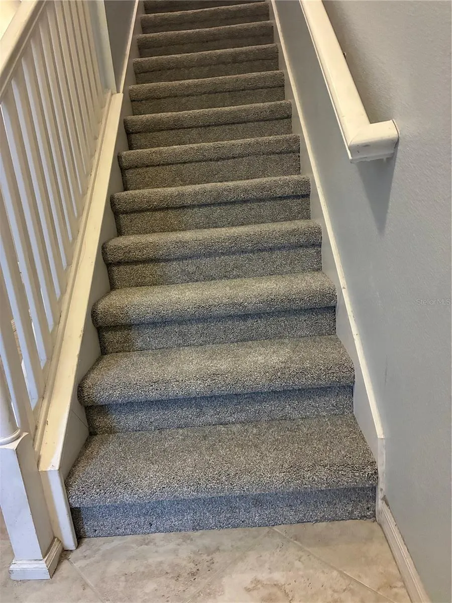 New Carpet 2026