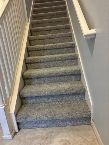 New Carpet 2026