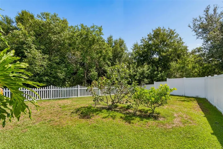 Large Fenced Yard