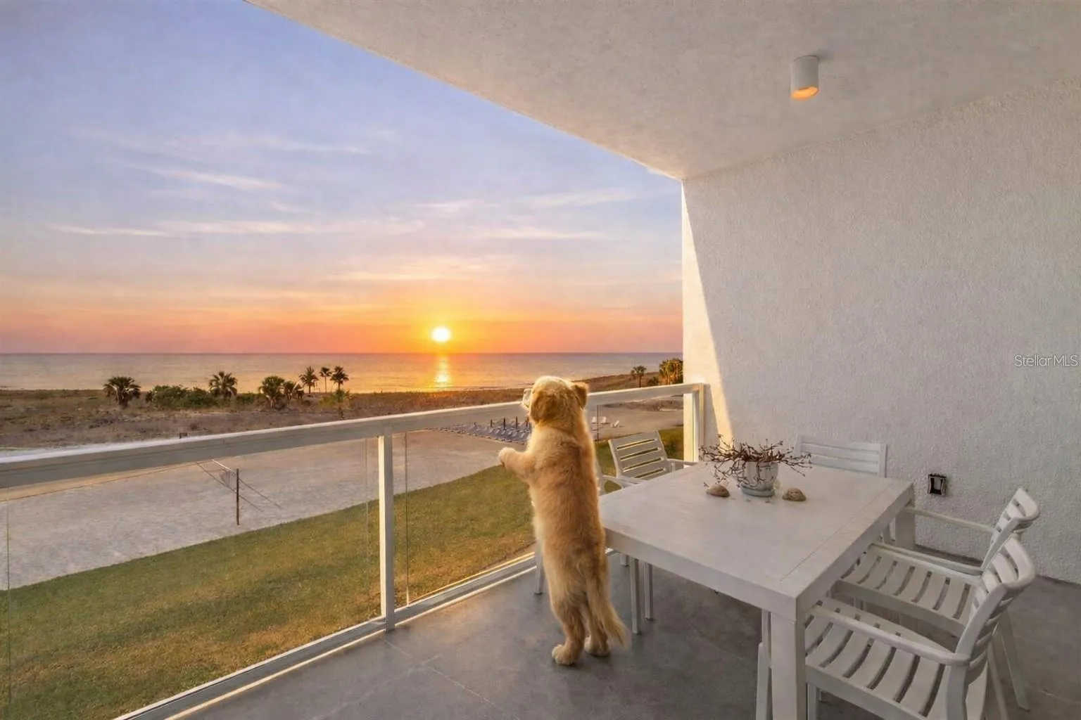 Pets allowed