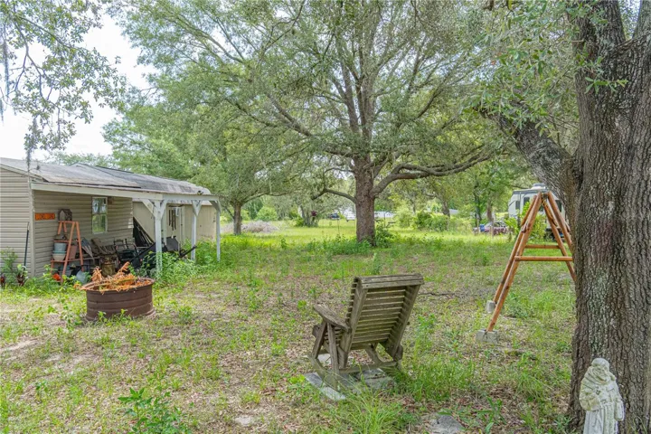 Back yard