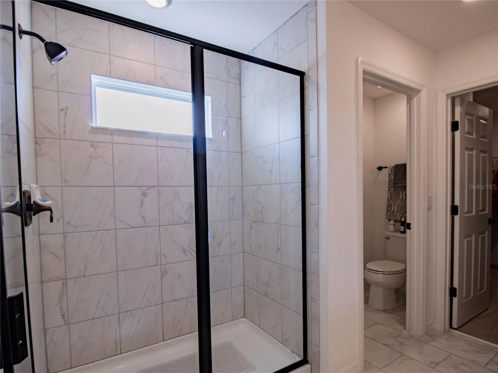 Primary Shower