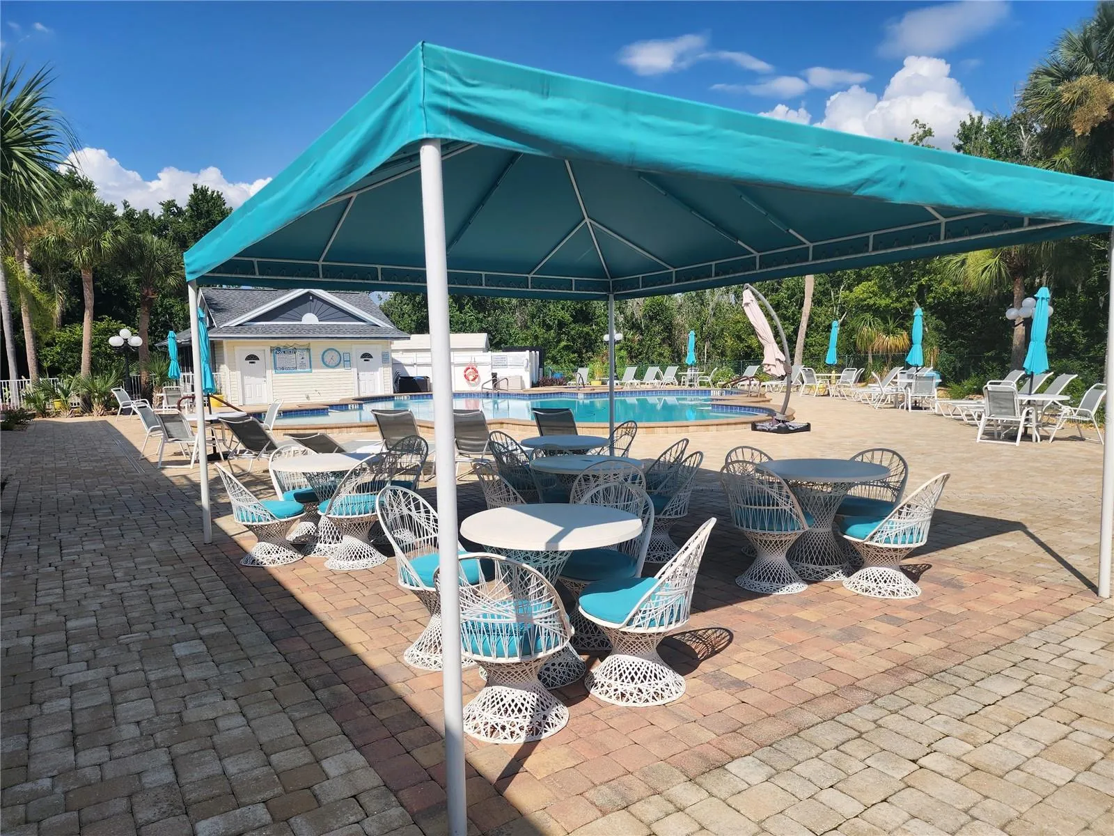 Poolside shade