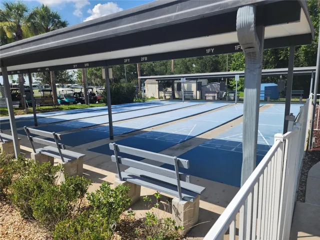 Shuffleboard