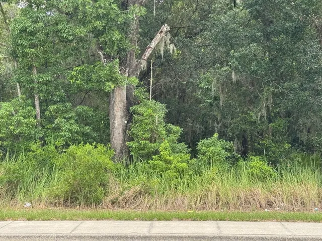 Lot view from paved road
