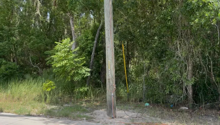 Lot view from paved road