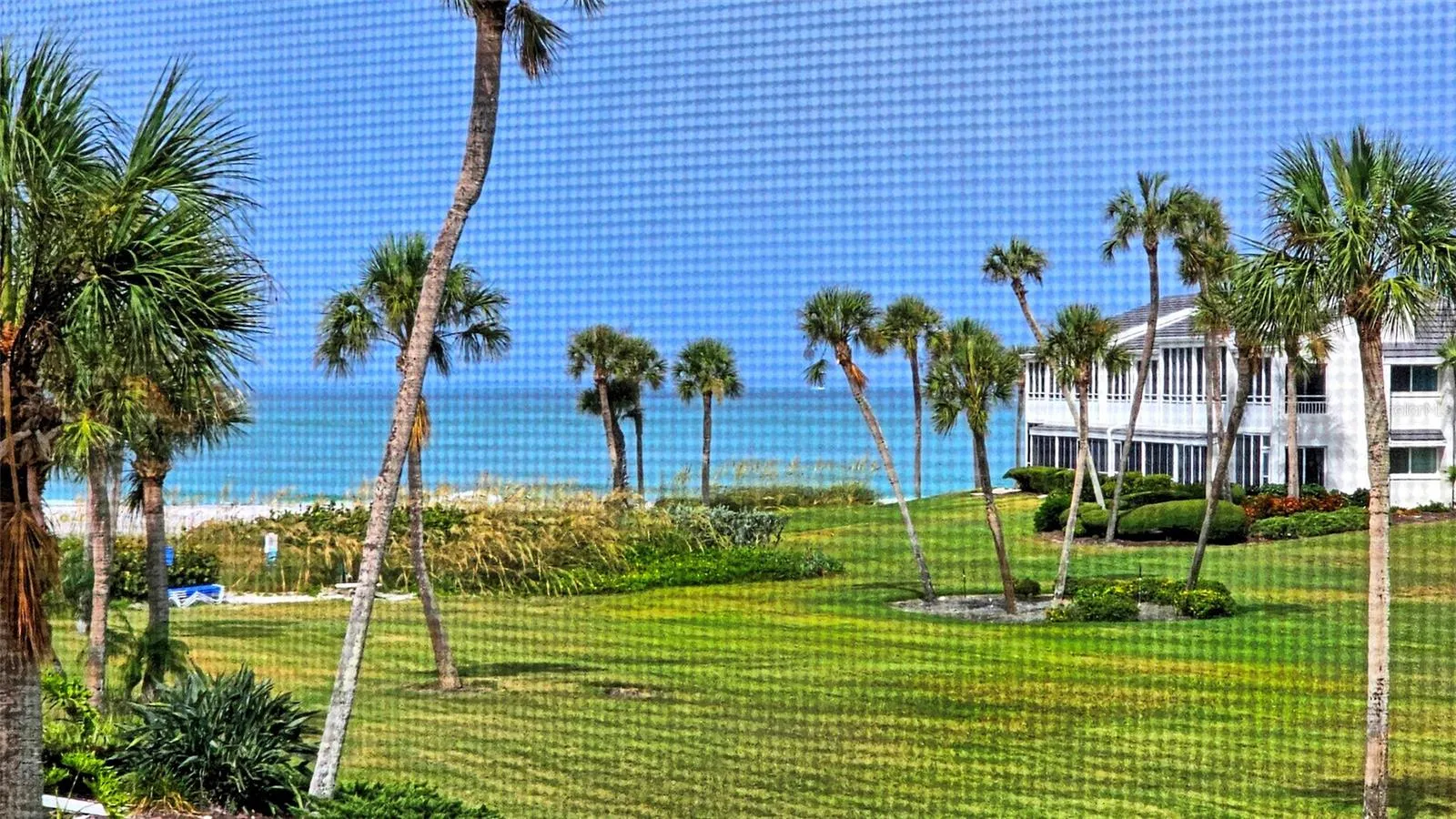 view from residence terrace