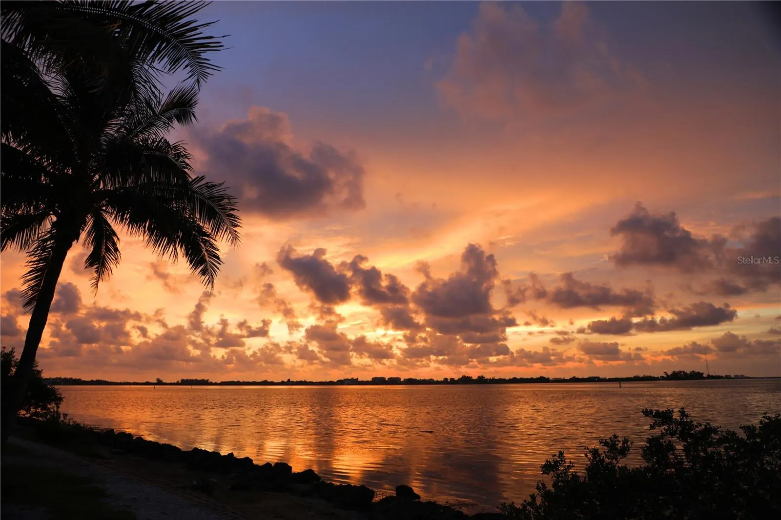 famous orange skies