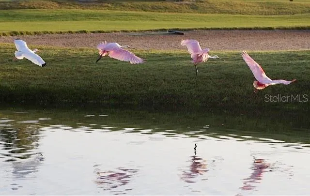 golf on longboat key
