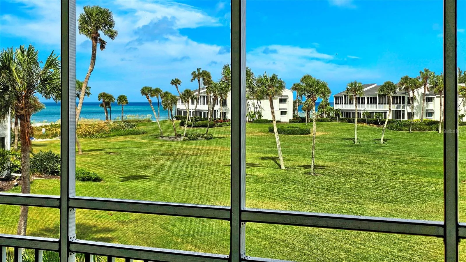 view from residence terrace