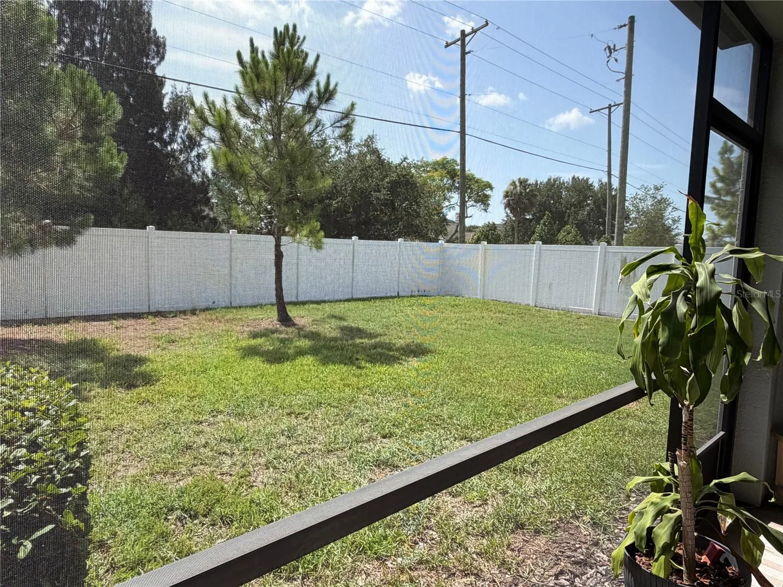 Lots of green space and privacy in the backyard