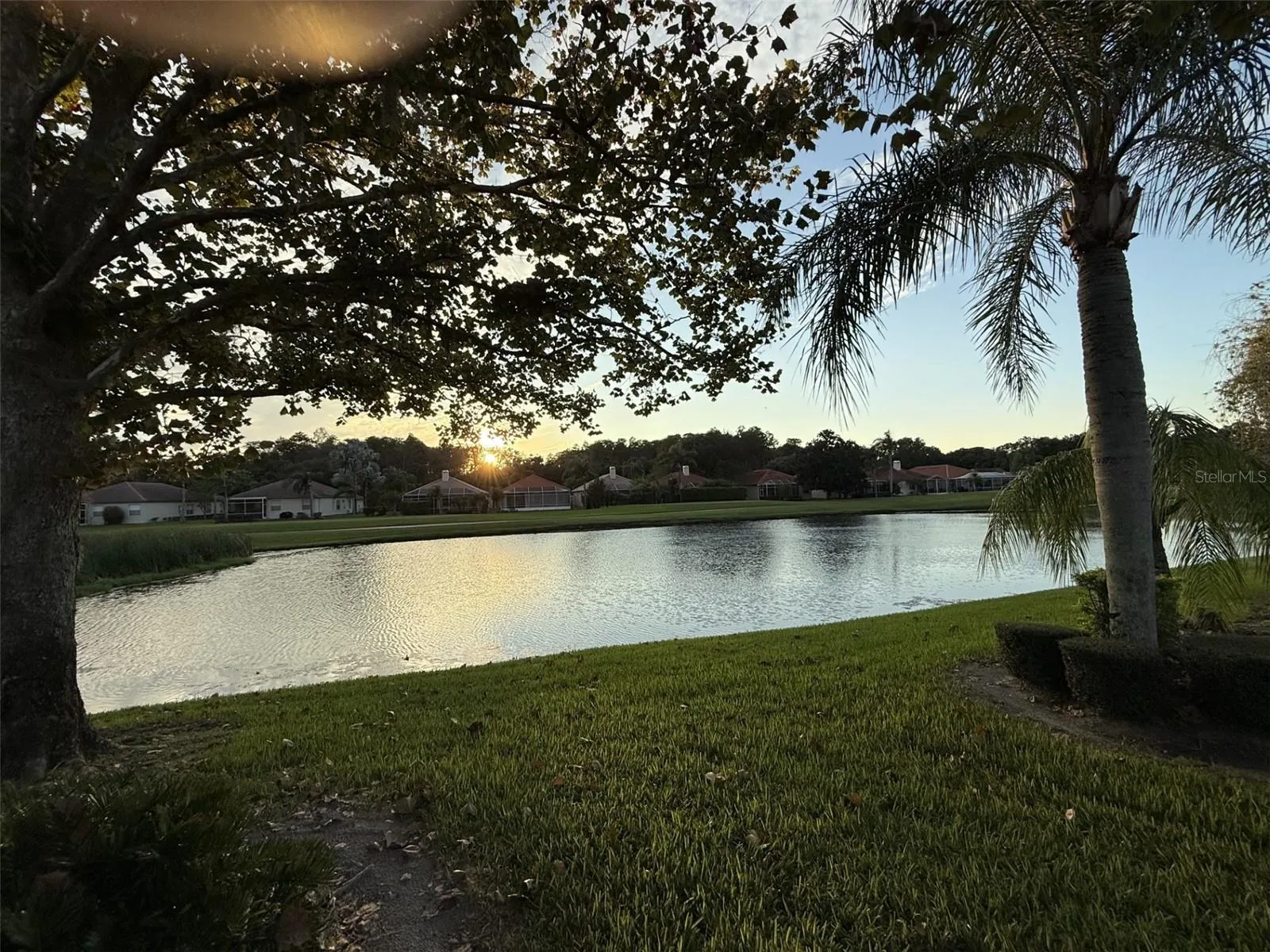 Sunset view from back of house
