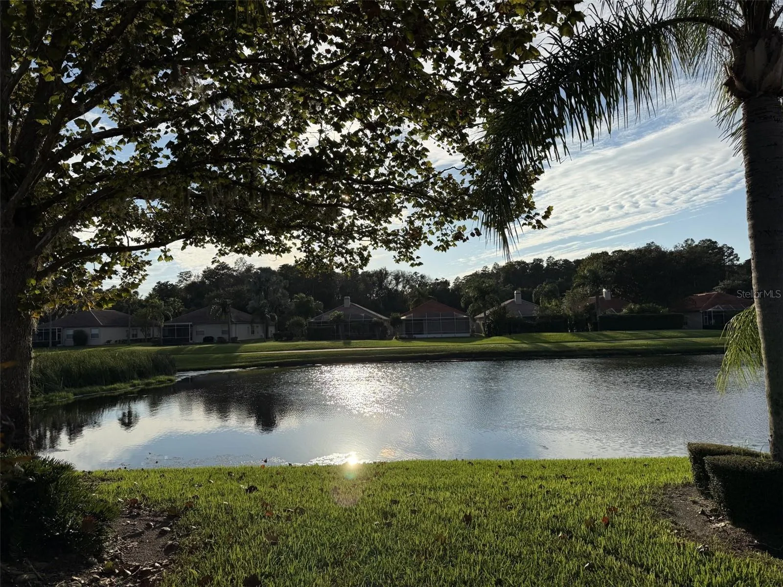 pond view from back of house