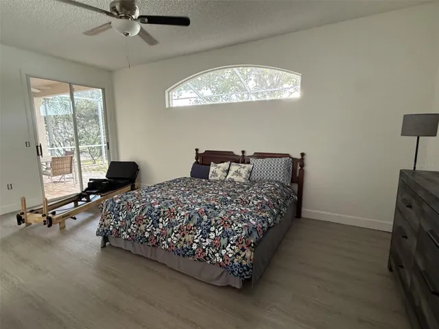 Freshly painted master bedroom