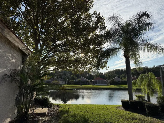 pondview from back of house