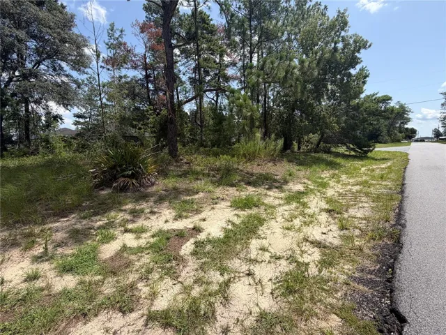 SIDE YARD - PAVED ROAD