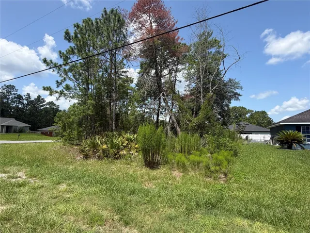RIGHT SIDE OF YARD NEXT TO NEIGHBOR