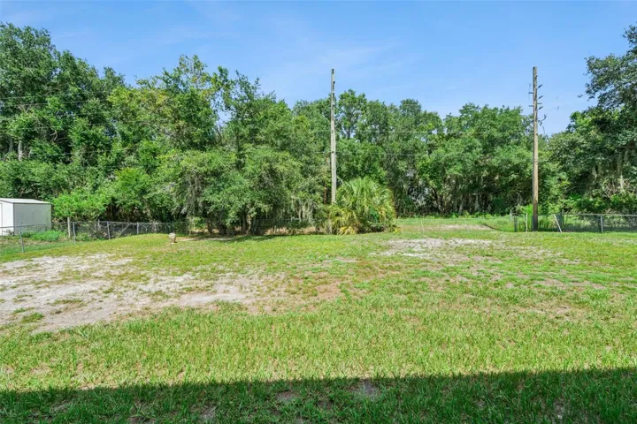 View of backyard