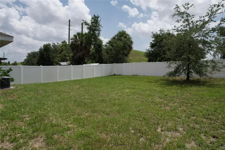 Backyard 2