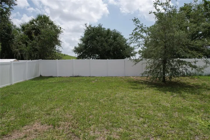 Backyard