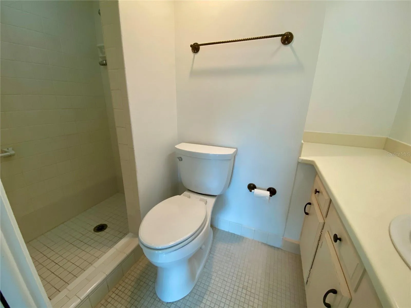 Step in shower