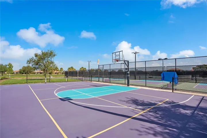 Basketball Court