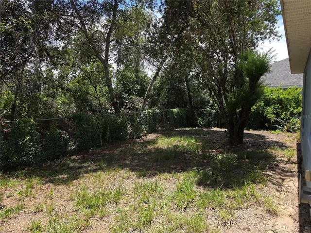 Backyard