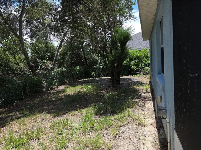 Backyard
