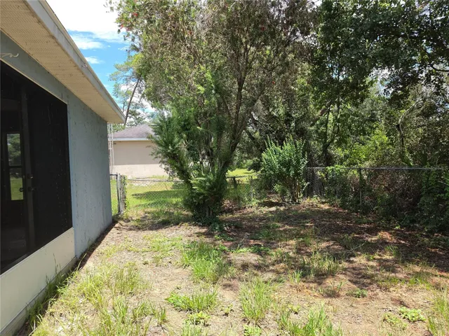 Backyard