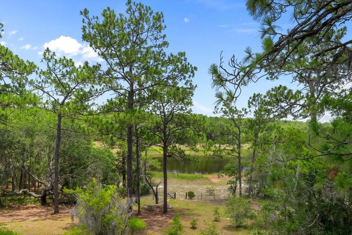 View of Hour Glass lake from 2nd Floor back porch
