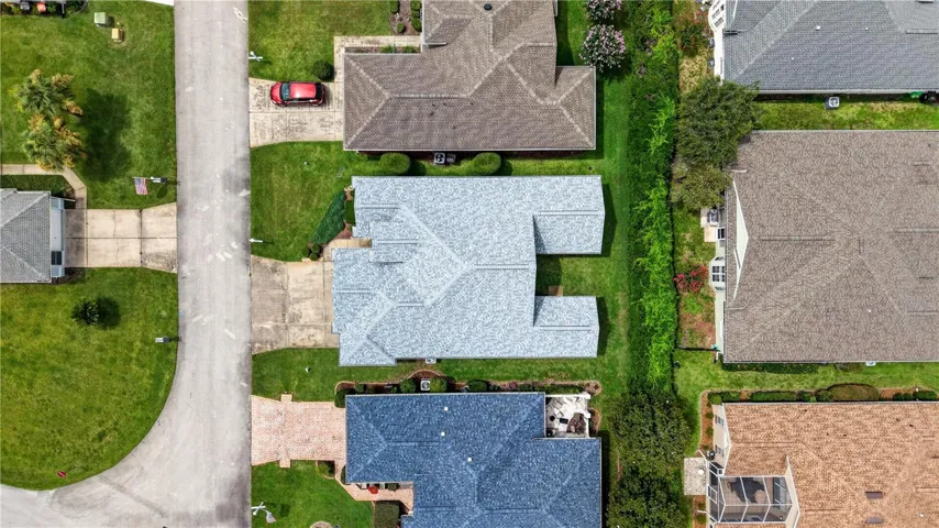 Birds Eye