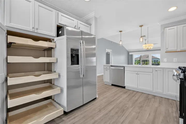 Double Built-In Pantry with Roll-Out Shelving