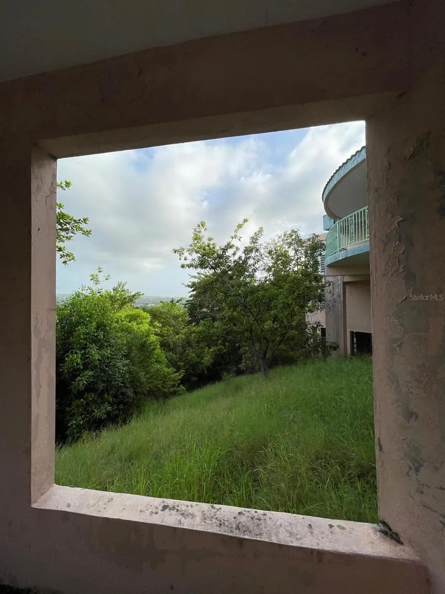 Picture frame view