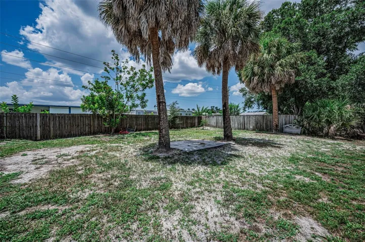 Back Yard