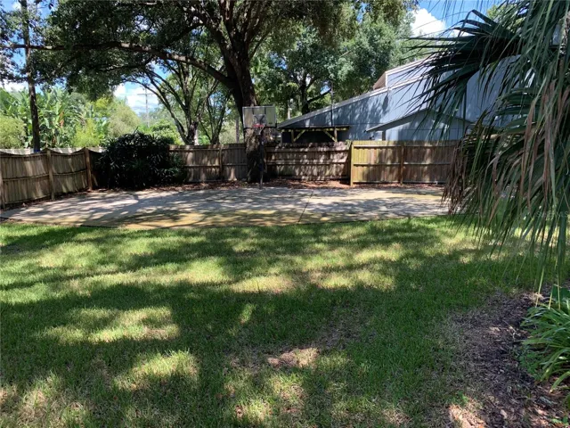 backyard