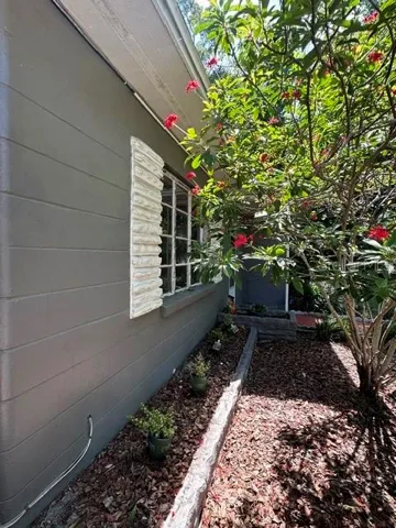 front garden