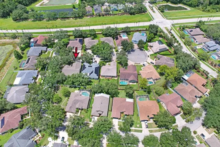 Neighborhood View
