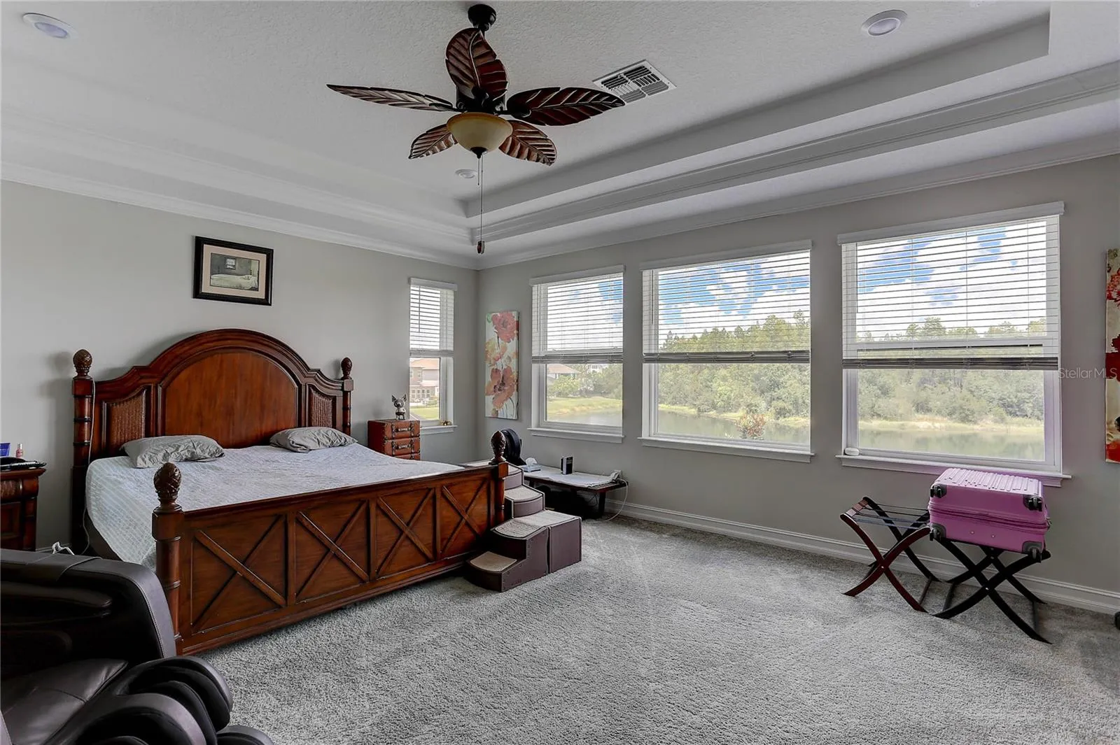 Owners retreat, tray ceiling