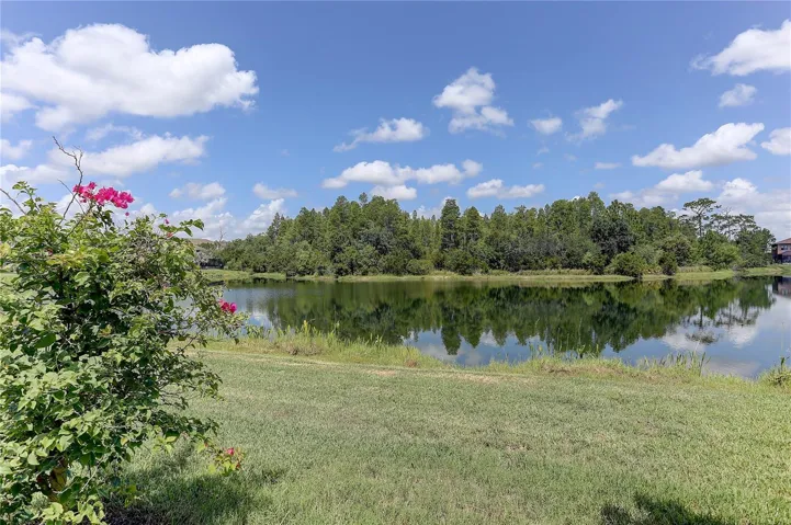 Backyard and pond