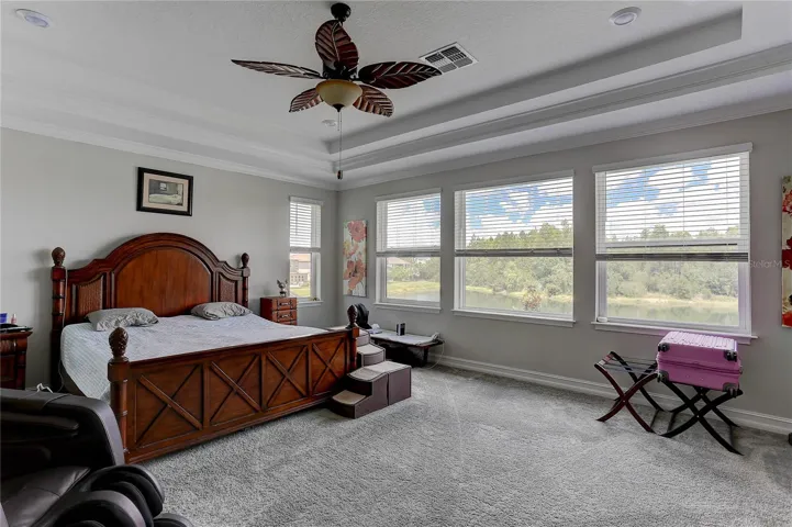 Owners retreat, tray ceiling