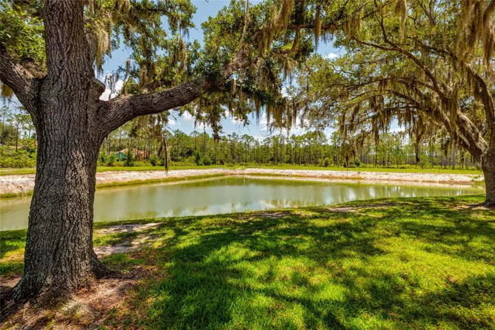 lake and yard view behind unit