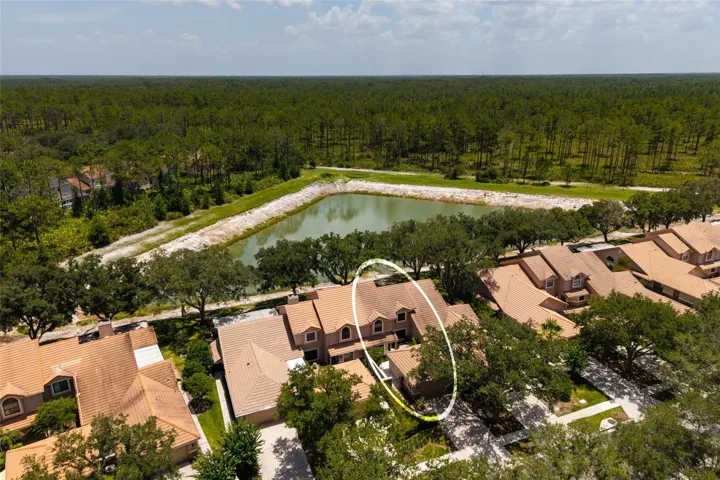 aerial view with lake and location of unit