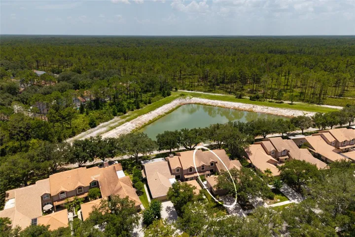 Aerial view lake and neighborhood