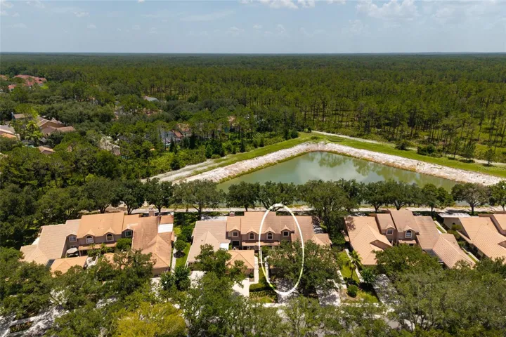 Aerial view lake and neighborhood
