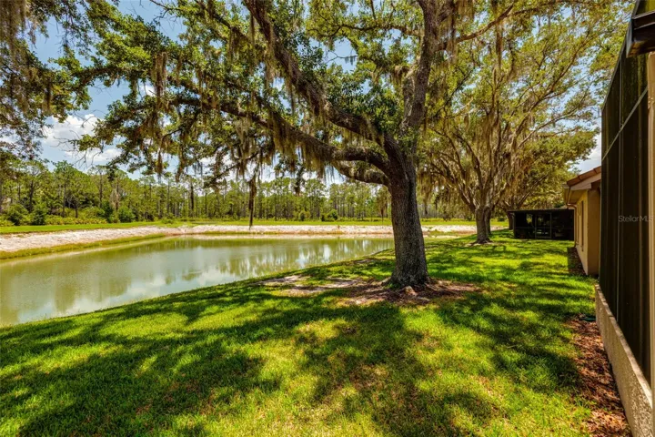 lake and yard view behind unit