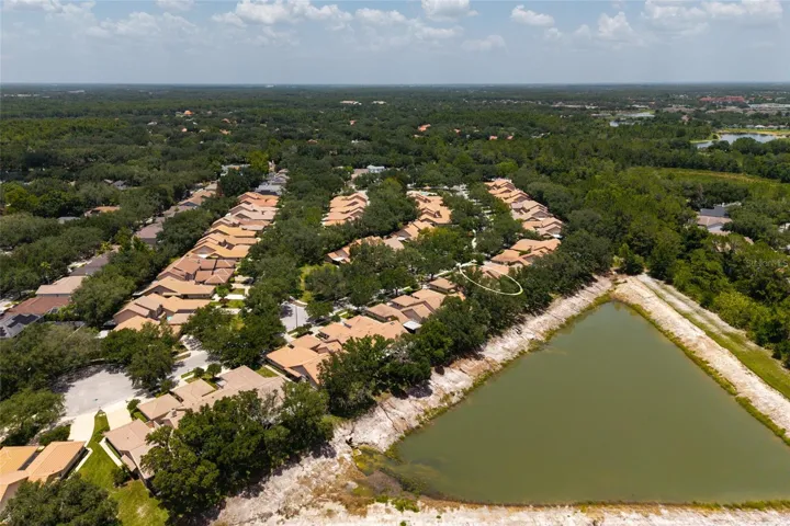 Aerial view lake and neighborhood